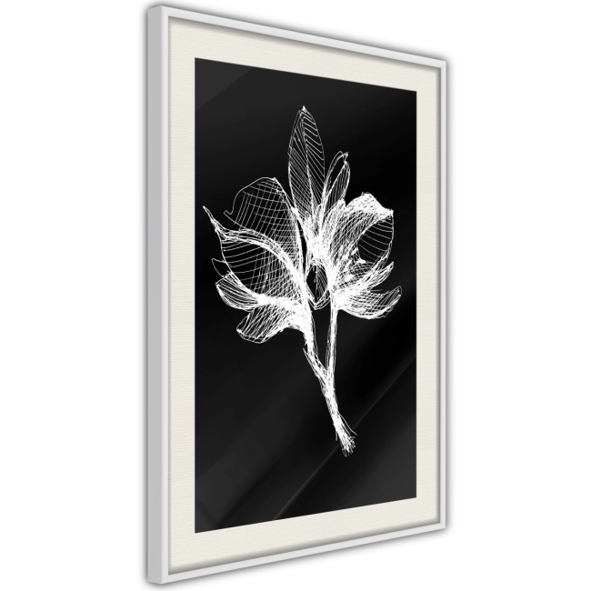 Plakat - Biała roślina