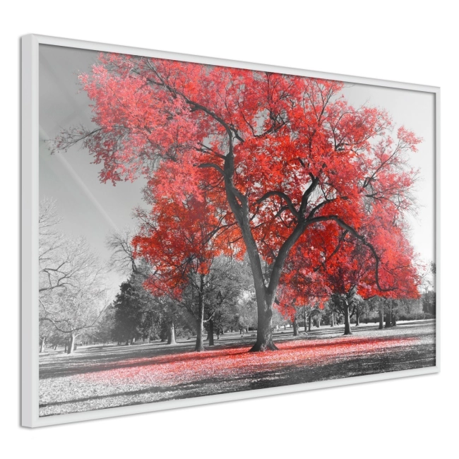 Plakat - Czerwone drzewo