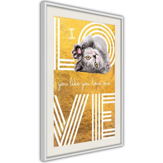 Plakat - Kocia miłość