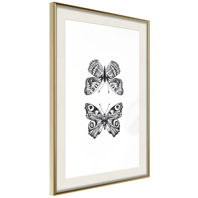 Plakat - Kolekcja motyli I