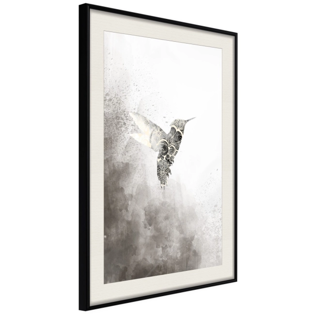 Plakat - Koliber w odcieniach szarości