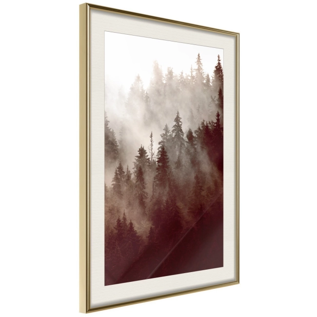 Plakat - Leśna mgła