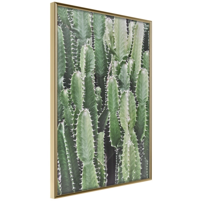 Plakat - Plantacja kaktusów