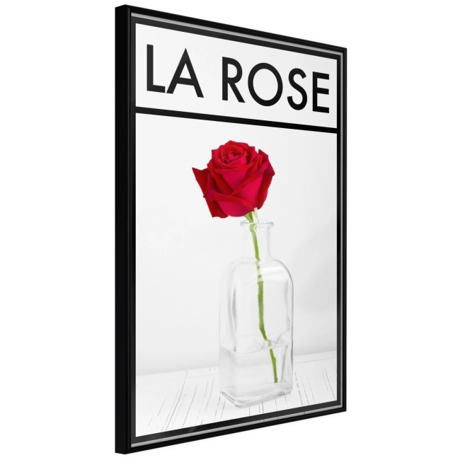 Plakat - Róża w wazonie