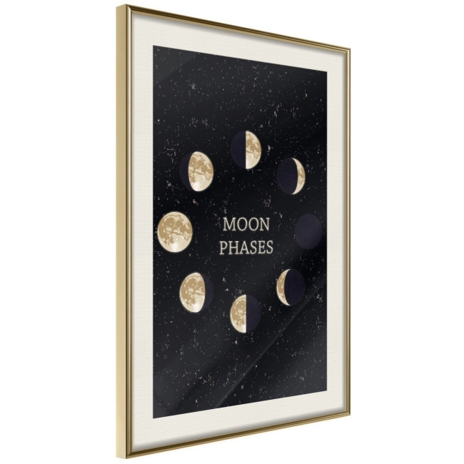 Plakat - W rytmie księżyca