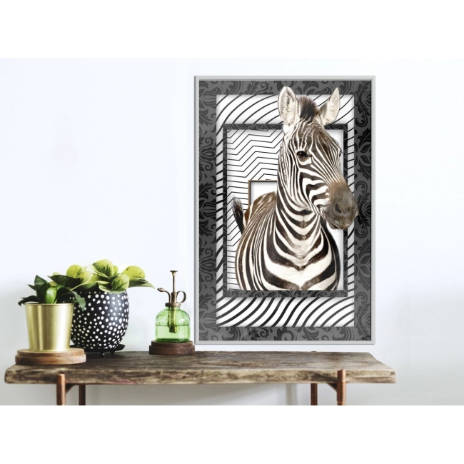 Plakat - Zebra w ramie