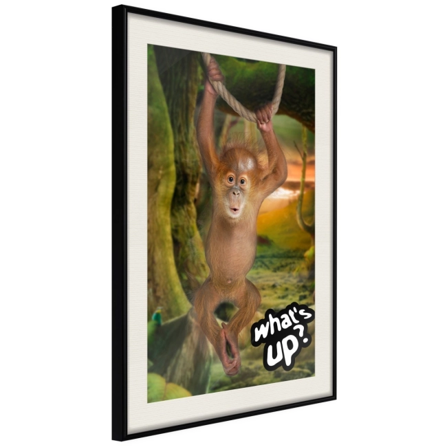 Plakat - Życie w dżungli