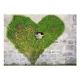 Fototapeta - Zielone serce i anioł