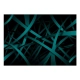 Fototapeta: turkusowe linie na czarnym tle