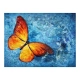 Fototapeta - Fiery butterfly