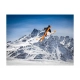 Fototapeta - Narciarstwo górskie