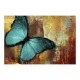 Fototapeta - Painted butterfly