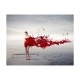 Fototapeta - Red beauty