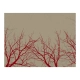 Fototapeta - Red-hot branches
