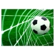 Fototapeta samoprzylepna - Goool!