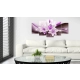 Obraz - Fioletowa lilia pustynna OBRAZ NA PŁÓTNIE WŁOSKIM