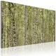 Obraz - Las brzozowy