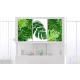 Obraz - Liście palmy (3-częściowy)