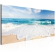Obraz - Plaża na wyspie Captiva OBRAZ NA PŁÓTNIE WŁOSKIM