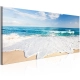 Obraz - Plaża na wyspie Captiva