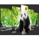 Obraz - Słodka mała panda OBRAZ NA PŁÓTNIE WŁOSKIM