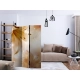 Parawan 3-częściowy - Królowe lata [Room Dividers]