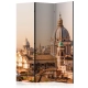 Parawan 3-częściowy - Rzym - widok z lotu ptaka [Room Dividers]