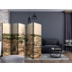 Parawan 5-częściowy - Rzym: panorama II [Room Dividers]