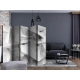 Parawan 5-częściowy - Zamrożone skrzydła [Room Dividers]