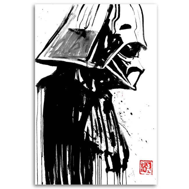 OBRAZ STAR WARS DARTH VADER ARTIST