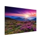 Obraz na płótnie Górska łąka - Druk Solwentowy - 120x80