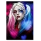 OBRAZ Harley Quinn ARTIST